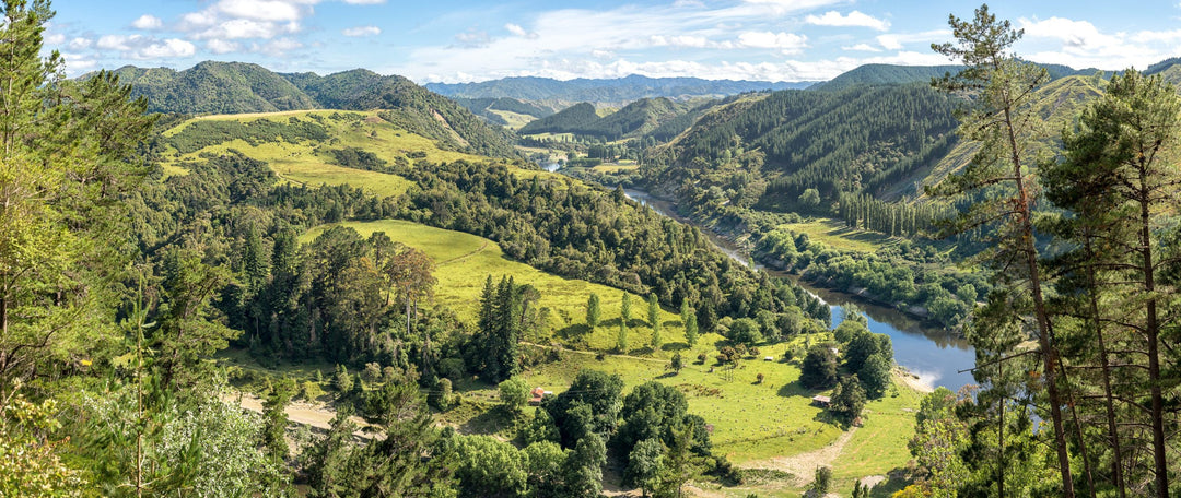 2025 NZ Masters' Games